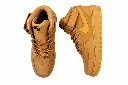 12.webp