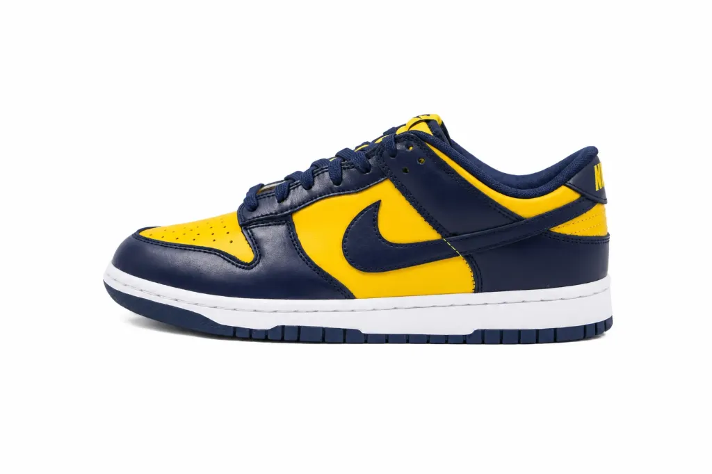 Nike Dunk Low Michigan (34)