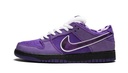 Nike SB Dunk Low Concepts Purple Lobster